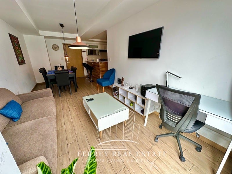 Apartamento full amueblado, ZONA 10 — foto 7 de 16